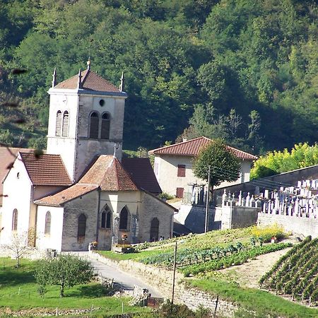 Gite Du Vieux Tonneau Cerdon  Zewnętrze zdjęcie
